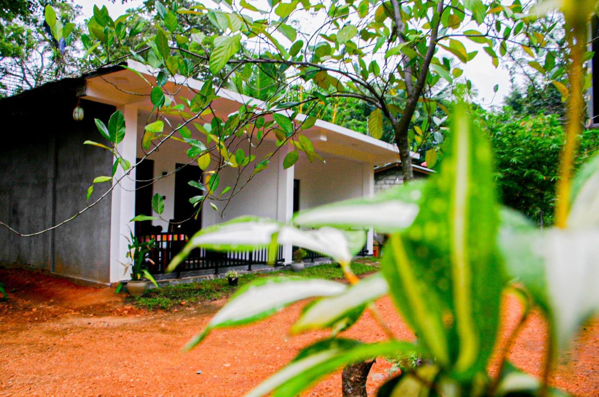 Sigiri Heaven Villa Sigirîya Extérieur photo
